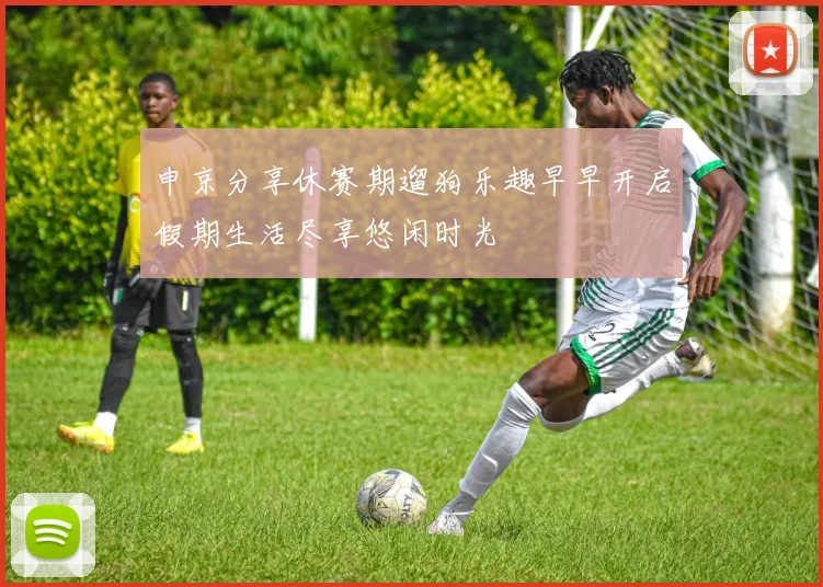 申京分享休赛期遛狗乐趣早早开启假期生活尽享悠闲时光
