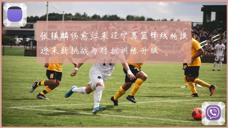 张镇麟伤愈归来辽宁男篮锋线轮换迎来新挑战与对抗训练升级