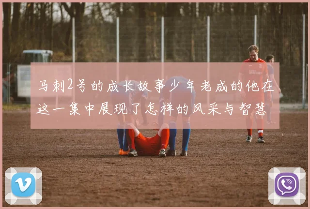 马刺2号的成长故事少年老成的他在这一集中展现了怎样的风采与智慧